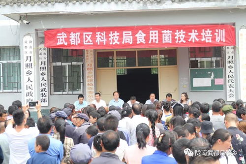 科技賦能農(nóng)業(yè)，武都區(qū)科技局在月照鄉(xiāng)舉辦食用菌栽培技術(shù)培訓(xùn)會(huì)助力鄉(xiāng)村振興